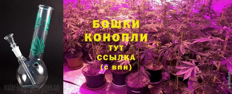 Шишки марихуана SATIVA & INDICA  блэк спрут вход  Искитим 